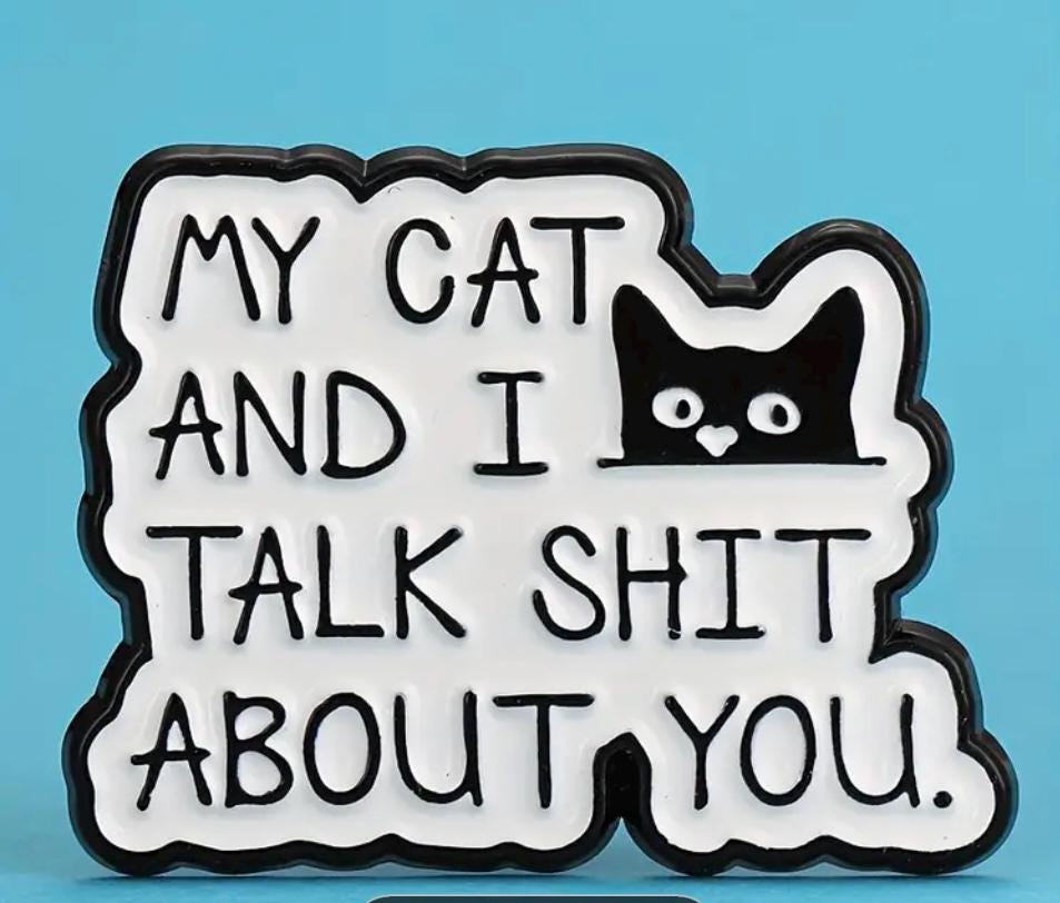 My Cat And I Talk Shit About You